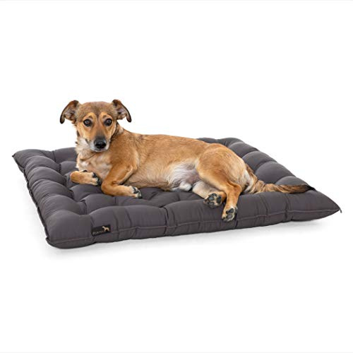 Pointer | Urban Hundekissen Mittlere Hunde, 60x50 cm - Orthopädisches Hundebett Waschbar bis 95°C, Geruchsfrei, Robust, Indoor & Outdoor, Made in Germany (L - 60x50 cm, Anthrazit)