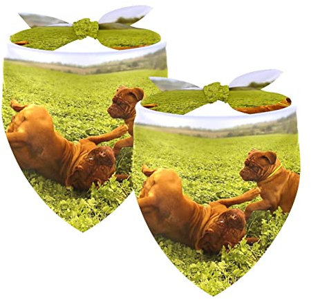 Hundehalstuch, 2 Stück, französische Bulldogge, Welpen, Haustier-Schal, Chiffon-Bandanas, Dreieck-Lätzchen, Zubehör für kleine, mittelgroße und große Hunde, Welpen, Haustiere
