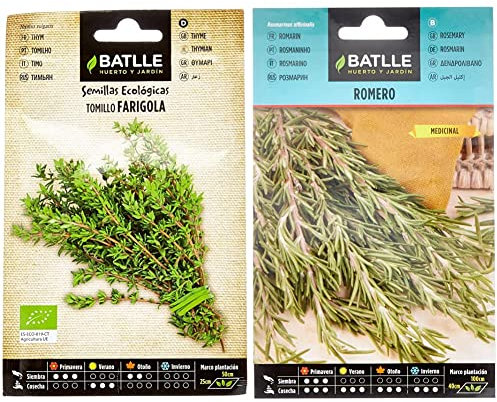 Tomillo (thymus vulgaris) - ECO & Romero - Rosmarinus officinalis