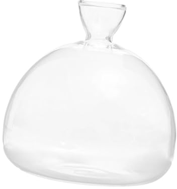 kowaku Vase de démarrage de graines d'avocat, de Culture de graines en Verre, Vase en Verre Transparent pour Accessoire de Bureau, Amis, Meilleur ami
