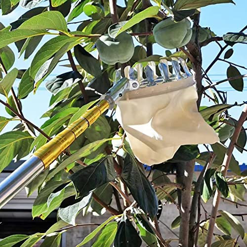 Yesbon Raccoglitore di Frutta con Manico Telescopico, Raccogli Ciliegie con Sacchetti di Tessuto, Strumenti di Raccolta all'aperto per Limoni, Mele, pere, pesche, manghi Arance,A,6m/19.7ft
