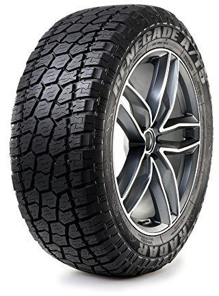 Radar RW-5 (Tl) 195/55 R15 85H Winterreifen