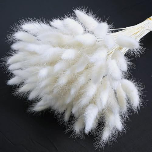 Barlone 120 Stück Pampasgras Klein, Hasenschwanzgras Getrocknet Pampasgras Deko, Pampas Gras Trockenblumen Beige, Trockenblumen Klein Pampas Gras für Deko Wohnzimmer Hochzeit Tischdeko