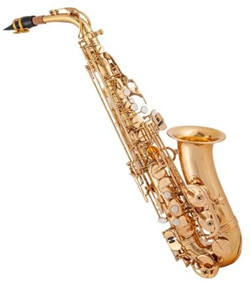 Saxophone für Anfänger Spielendes Es Altsaxophon Instrument lackiert Gold