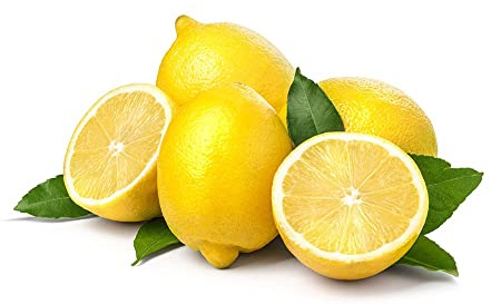 2 PIANTE di LIMONE 4 STAGIONI ALBERO DI LIMONE LUNARIO IN VASO 18CM agrumi di sicilia h 120cm AMDGarden