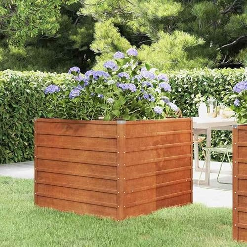 Hochbeet aus Cortenstahl 100x100x77 cm - Rostig & Langlebig für Gartenpflege | Ideal für Gemüseanbau & Kräutergarten | Perfekt für kleine Gärten & Balkone