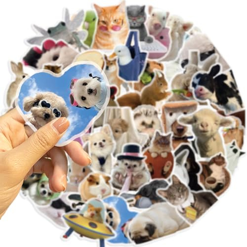 50 Pcs Meme Stickers for Kid Teens Girls Boys Adults, Cat And Dog Meme Stickers for Laptop,Water Bottles,Bicycle,Skateboard,Computer,Waterproof Vinyl for Wall,Graffiti Stickers Pack