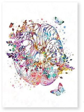 Supkancl Cuore Umano Stampa Organo Anatomia Tela Pittura Medicina Poster anatomico Vintage Acquerello Immagini di Fiori Clinica Decor(C,30x42cm No Frame)