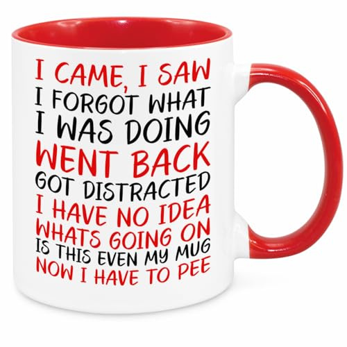 I Came I Saw I Forgot Mug - Funny Novelty Gift Silly Present Mugs for Women Birthday Christmas for Mum Dad Friend Sister for Men Colleague Secret Santa Work Quotes (Red)
