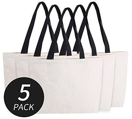 Azuca Reusable Grocery Canvas Bags with Inner Pocket Large Beach Shopping Heavy Duty 12 oz Tote Multi Purpose Natural - 20.5 x 14.5 x4.5 inch, 5 Pack