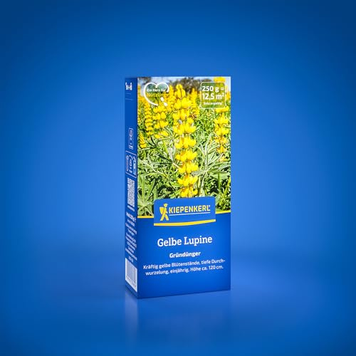 Kiepenkerl Gelbe Lupine 1080600, 0,25 kg | Kräftig gelbe Blütenstände mit tiefer Durchwurzelung, Bodenlockerung, Bodenverbesserer, Höhe 120 cm, einjährig
