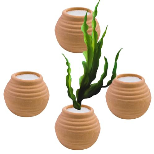 Cuyacili Juego de 4 juegos de anillos fijos para plantas acuáticas, mini recipiente de cerámica y esponjas, decoración para acuario, accesorios para tanques de peces, 4 x 4,5 cm, rojo