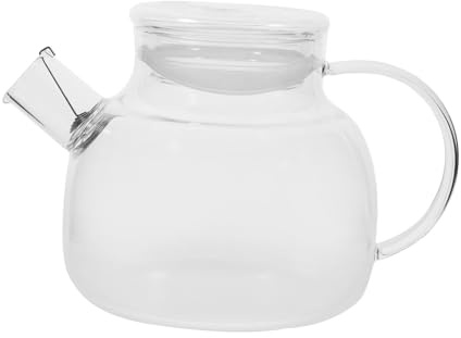 STOBAZA Jarra de Vidrio Borosilicato con Filtro de para Infusiones Frías y Agua Jarra Multifuncional de Frutas y Bebidas Caseras Diseño Transparente Resistente para Cocina