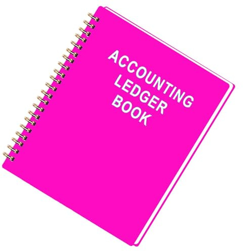 Scheckbuch-Registerbuch, Haushaltsbudget-Tracker, Kontobuch, Ausgabeneinnahmenaufzeichnung, Organizer, für Männer und Frauen, Profis, Pflegekräfte, Vermieter, Freiberufler, Büro, Finanzplanung