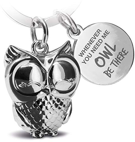 FABACH Eule Schlüsselanhänger Owly mit Gravur - Süßer Schlüsselanhänger Eule - Freundschaft und Liebe Glücksbringer aus Metall für Frauen in Silber - Whenever you need me owl be there