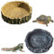 WideSmart Reptilien Wasser Tablett,2 Stück Reptilien-Feeder Reptilien Fressnapf Reptile Feeder Dish Reptile Näpfe Reptilien Wasserschale Reptil Food Bowl für Reptilien Schildkröte Eidechse Chamäleon