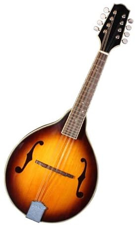 Mandolina Hecha A Mano Instrumento Profesional Para Practicar Para Adultos Instrumento De Mandolina Profesional