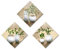 Piy Painting Cuadros de Plantas Elegantes Cuadro sobre Lienzo, Cuadro Moderno, Impresión sobre Lienzo Foto Botánico Lienzo Decorativo para Cocina Oficina Dormitorio 30x30cm Set de 3