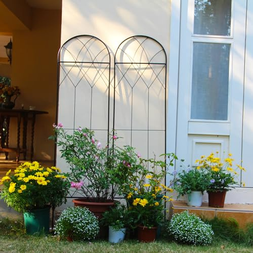 SCENDOR Garden 2er Set Metall-Garten-Trellis für Kletterpflanzen, 150 cm x 40.5 cm, Rostbeständiges Eisen-Trellis für Gurken, Tomaten, Rosen und Blumenbeete, Einzigartiges Design