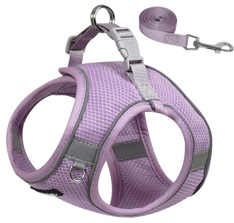AIITLE Harnais et Laisse pour Chien, Harnais Anti-Traction pour Chiot avec Maille Super Respirante, Promenade en extérieur réfléchissante, Dressage pour Petits Chiens, Chats Violet XS