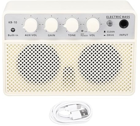 Aramox BT Altoparlanti Bass Dual Canale Amplificatore di Basso Elettrico Ricaricabile Portatile 10W DC5V 1A