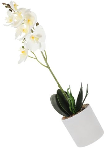 HOOTNEE Künstliche Phalaenopsis Bonsai Pflanze Realistische Orchideenblüten Für Stilvolle Raumdekoration Dekorativer Tischschmuck Für Wohn Und Büroräume Pflegeleicht Und Elegant