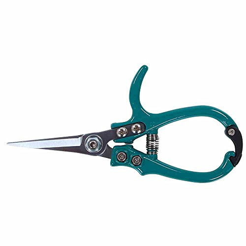 Siena Garden Floristenschere, Blumenschere, türkis, 16,9x8,3x1,8cm, D46448