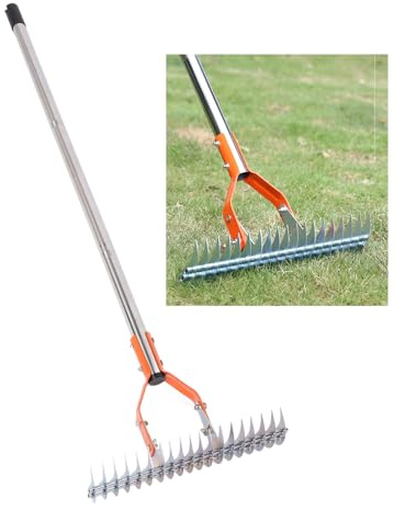 Thatch Rake, 14.7 Inch Lawn Thatching Rake for Cleaning Dead Grass, Stainless Steel Double Sided Lawn Dethatcher Rake with Handle for Lawn Yard Garden, Lawn Loosening Soil Rake