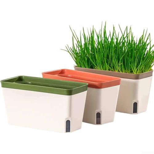 LifenaviStore Lot de 3 pots de coriandre avec hydratation intégrée pour jardin d'herbes aromatiques d'intérieur et d'extérieur