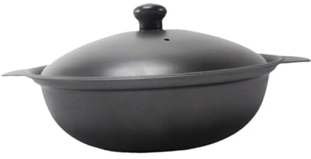 COHEALI Cast Iron Casserole Dish Nonstick Braised Pot with Lid for Noodles Soup Stewed Chicken Even Heating Kitchen Cooking Pot with Double Handles for Home and Restaurant Use