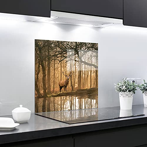 Glass Awesome Splashback Backsplash Tempered Glass Heat Resistant Toughened Decorative – 60 x 65 cm – 4 mm Thick – Perfect Behind Gas, Ceramic and Induction Cookers – Easy to Clean, Multicolor