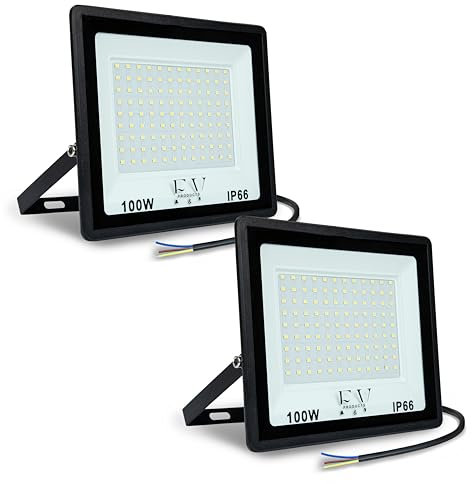 F&V PRODUCTS Faretto LED da Esterno 100W, Cavo 1 M, Luce Bianca Fredda 6500K, 10000 LUMEN, IP66, IK08, Alluminio e Vetro Temperato, Faro LED 220V per Illuminazione Esterna, Giardino, Garage, Facciate