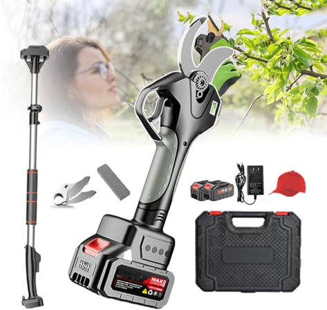 forplubossmmp Forbici da Potatura Elettriche + Asta Telescopica, Forbici da Potatura da Giardinaggio con 2 Batterie E Cassetta degli Attrezzi, Tagliasiepi Elettrico Professionale per Fattorie