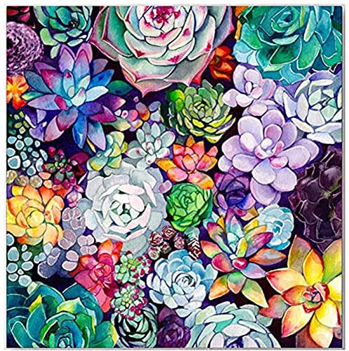 Diamond Painting Set Full, Bunte Sukkulenten 40x40cm 5D Diamant Malerei Bilder, DIY Diamant Gemälde Voll Strass Stickerei Kreuzstich Kits Kunst Handwerk Leinwand Wanddekor