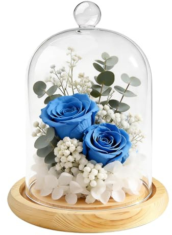 Porfoyo glaskopp med naturlig träbas, glas-display cloche-kupol, med handtag, robust, Vous glasklocka dekoration för dekorativa ändamål förvaring av blommor och växter för heminredning och