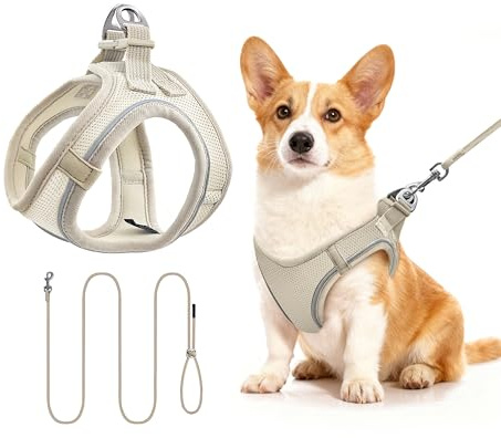 Hundegeschirr mit Leine 255cm M Set, Reflektierend (Beige) | Brustgeschirr Für Mittelgroße Hunde, Atmungsaktives Mesh Gewebe, Anti-Ausbruch, Spaziergang