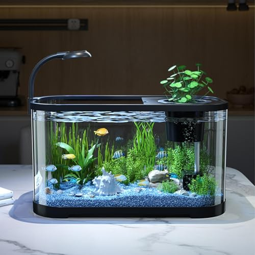 Aquarium Starter Kits, 11L Small Fish Tank with Filter and LED Light, Silent & Self Cleaning Nano Aquarium, Decoration Tropical Fish Tank Kit for Betta Shrimp Goldfis-h
