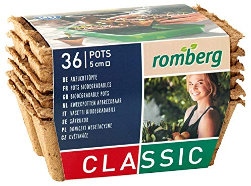 Romberg Anzuchttöpfe Classic quadratisch 5x5 cm (36 Stück, biologisch abbaubar, torffrei, einfache Anwendung) 10091103