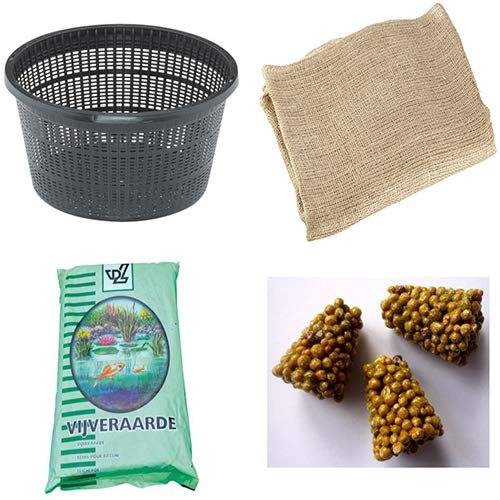 KIT VASO + TERRICCIO PER NINFEE PIANTE PALUSTRI E OSSIGENANTI