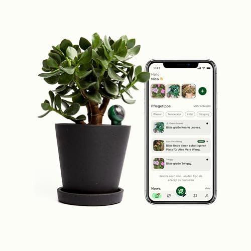 FYTA Beam G1 Smarter Pflanzensensor - Misst Wasser, Temperatur, Licht, Düngebedarf - Pflanzen Feuchtigkeitsmessgerät, Bodenfeuchtesensor, Temperatursensor, Gießanzeiger Zimmerpflanzen - iOS Android