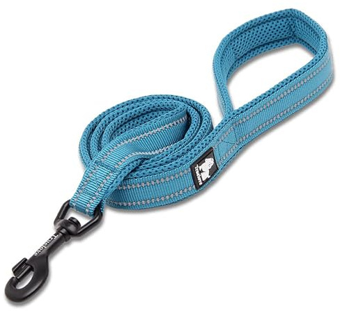 Truelove Hundeleine TLL2111 Welpenspaziergang Leine, Haustier Kette Seil, Griff Traktion Seil, gepolstert reflektierende Nacht sichere Führung Länge 200cm jetzt verfügbar (M, Blau)