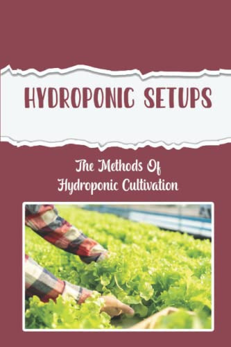 Hydroponic Setups: The Methods Of Hydroponic Cultivation