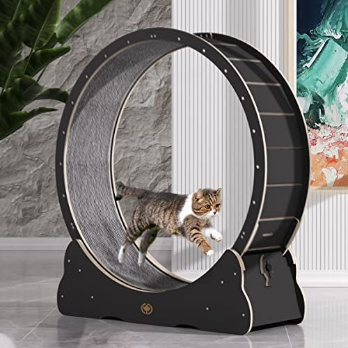 CanadianCat Company | Katzenlaufrad aus Holz - CatInMotion - Spiel- & Traininggerät für Katzen | Bausatz Schwarz - L Ø100cm | 110 x 36,5 x 115 cm