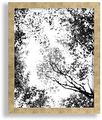 VO design Finn Premium Bilderrahmen Posterrahmen 80x120 cm Farbe Gold Antik Blattgold 120x80 cm mit weisser Rückwand und klarem Acrylglas