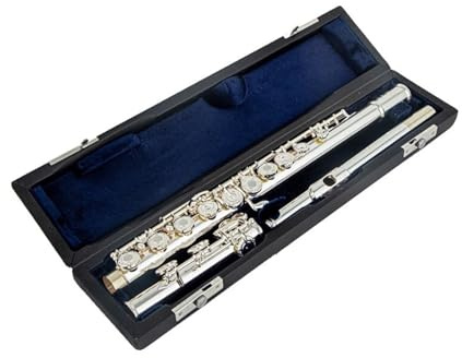 flûte traversière Instrument de flûte flûte française plaquée argent 16 trous, qualité de Performance professionnelle