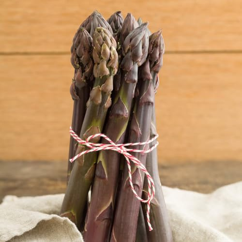 piantedi fragolantedi mirtillo,campanula lampone,semi physalisPiantamonstera melo semi loto Piantaalloro cachi,loto resistenti uva,bambù 150Seme