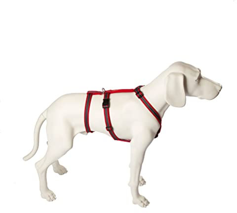 No Exit ausbruchsicheres Hundegeschirr für Angsthund, Sicherheitsgeschirr für Pflegehunde, Panikgeschirr, Soft Grip, Bauchumfang 70-90 cm, 25 mm Bandbreite, rot/Silber