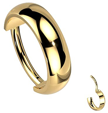 Treuheld® Breites Titan Segmentring-Clicker Piercing | 4 Farben