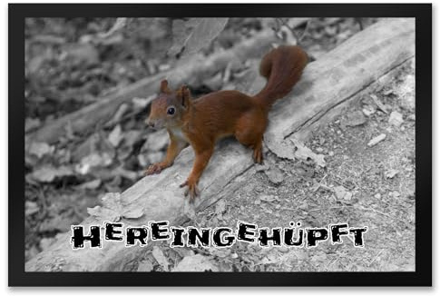 trendaffe - Hereingehüpft Fussmatte mit Eichhörnchen Wald Schuhabstreifer mit niedlichem Nager in grau und orange-braun