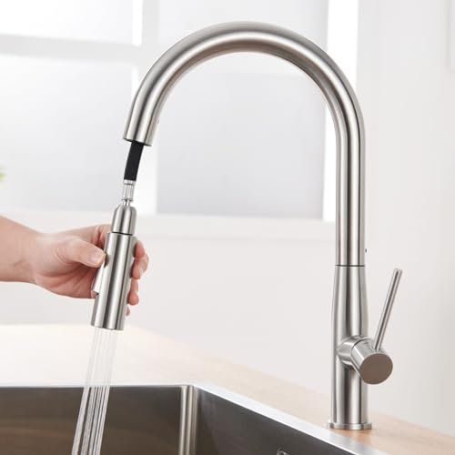 Auralum Robinet Cuisine, Mitigeur Cuisine Avec Douchette, Robinetterie de Cuisine avec Bec Extractible Rotatif à 360° Froid & Chaud Disponible, Acier Inoxydable